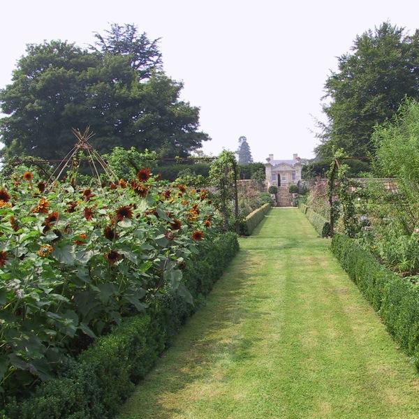 More images from 2113