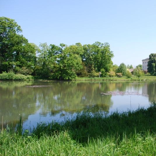 More images from 2145