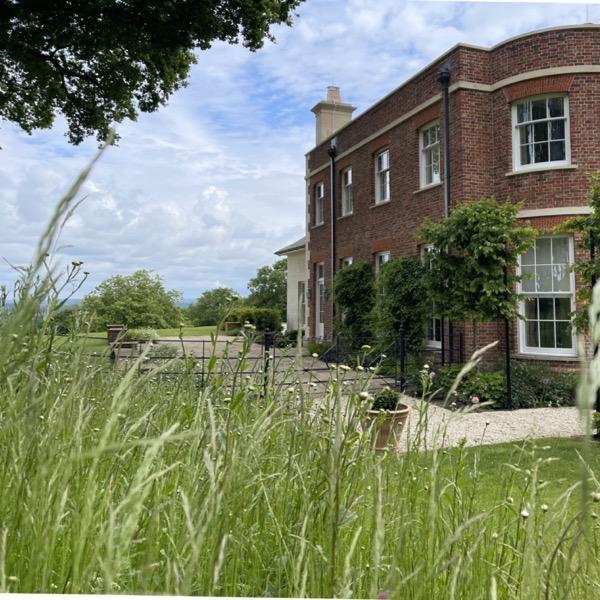 More images from 2470