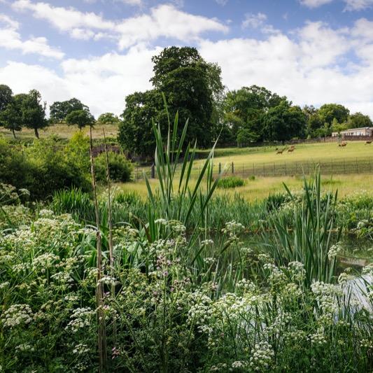 JCA image link to Outdoor spaces